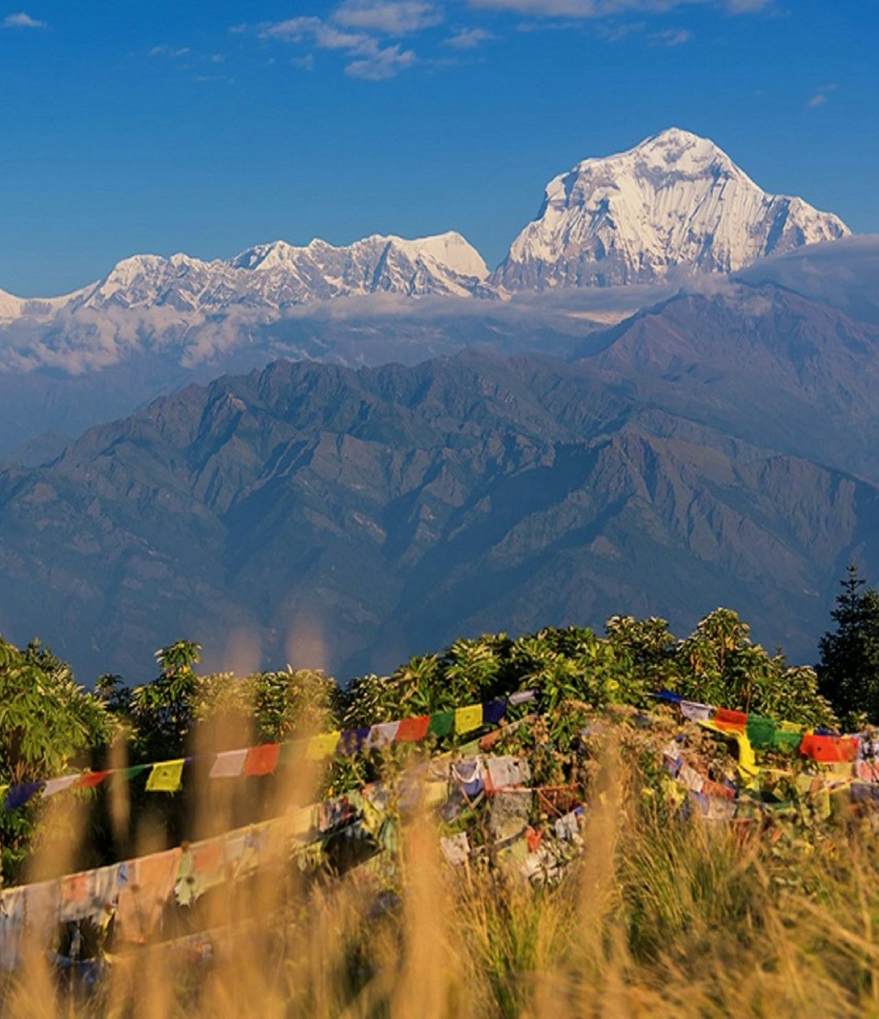 Sunrise over Dhaulagiri from Poon Hill with prayer flags